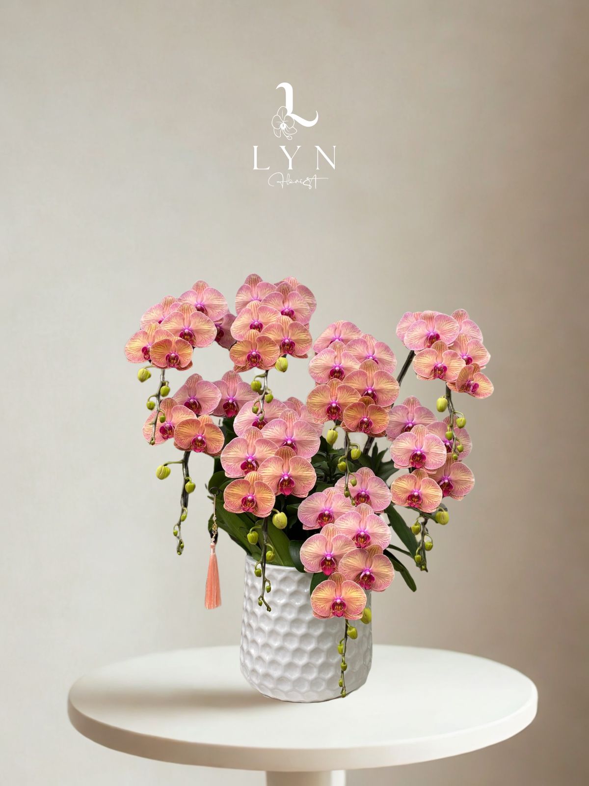 Chậu Hoa Lan Cam Đào